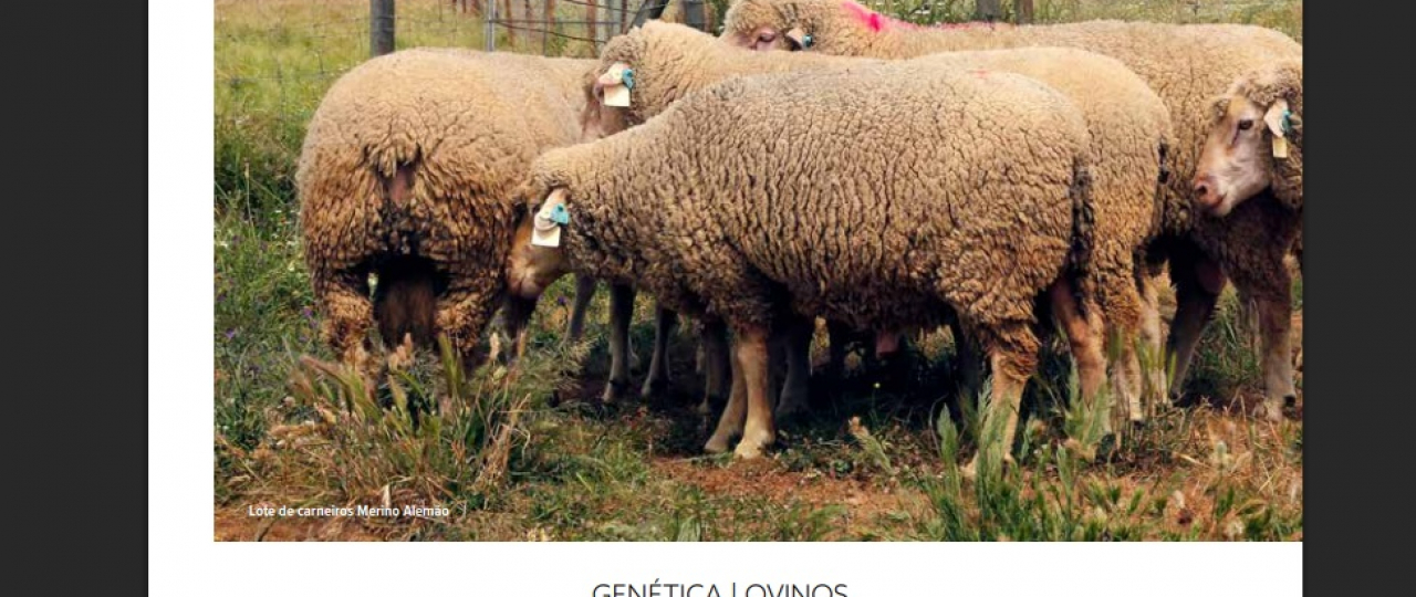 Monte da Sancha na Revista Ruminantes