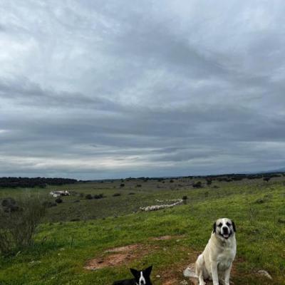 Galeria6